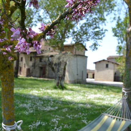 Agriturismo Nestore Villa Exterior photo