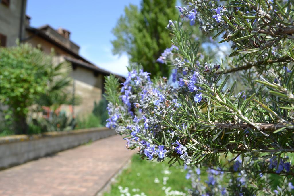 Agriturismo Nestore Villa Exterior photo