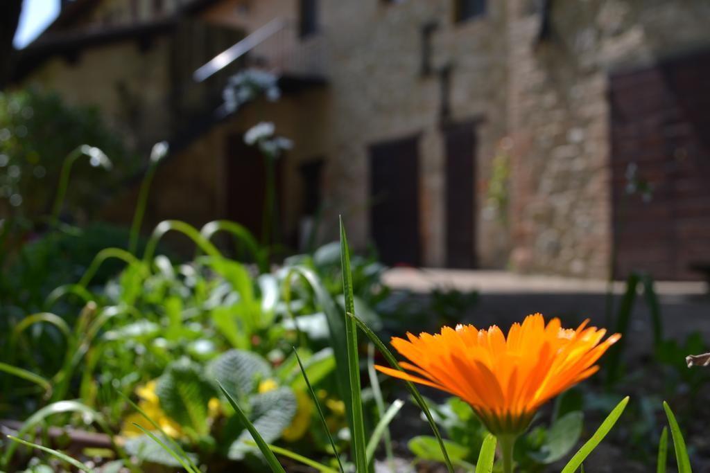 Agriturismo Nestore Villa Exterior photo