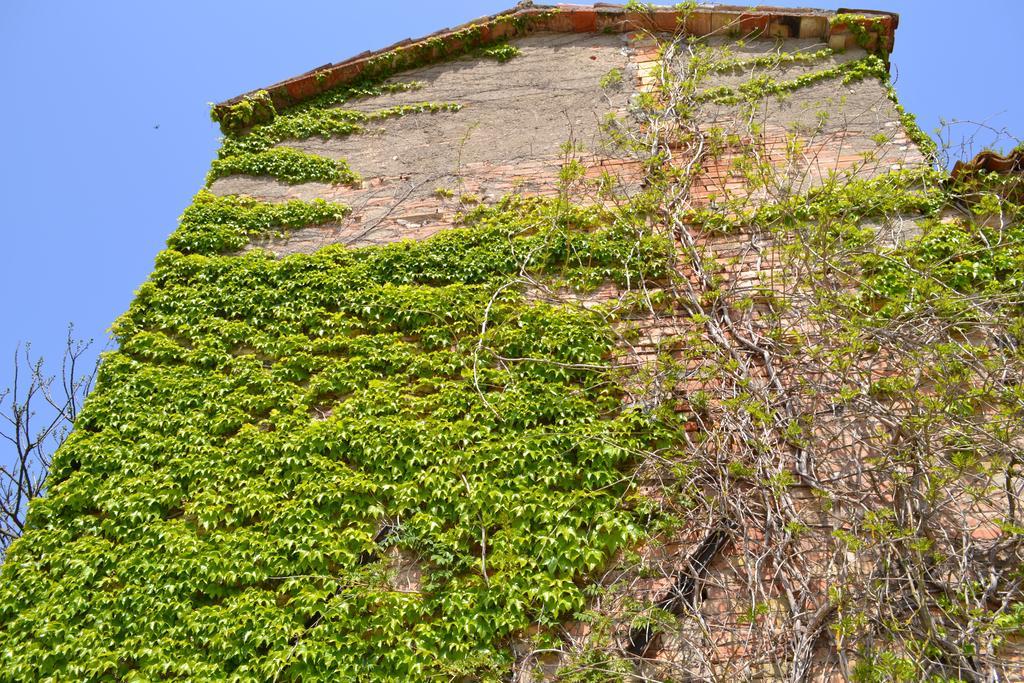 Agriturismo Nestore Villa Exterior photo