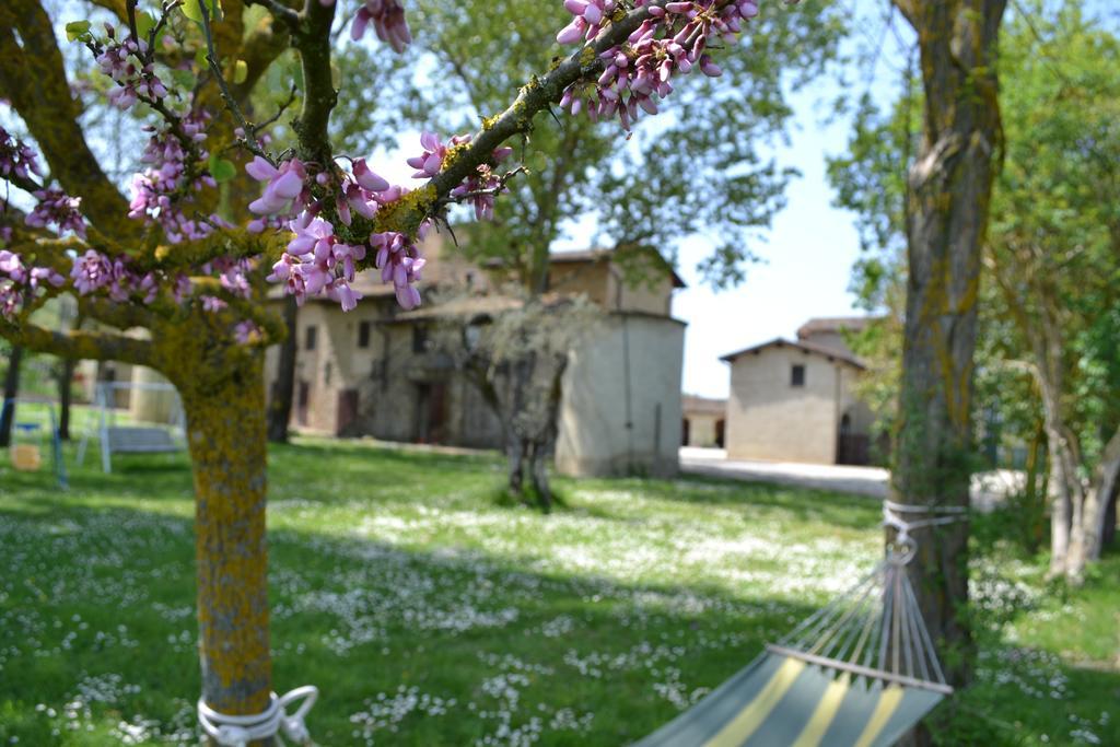 Agriturismo Nestore Exterior photo