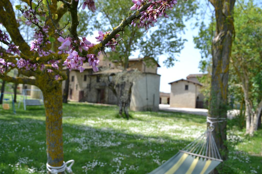 Agriturismo Nestore Villa Exterior photo